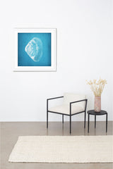 Concha II Wall Art Wall Art Whom. Home