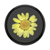 Popsockets PopGrip (Gen2)|Press Flower Yellow Daisy