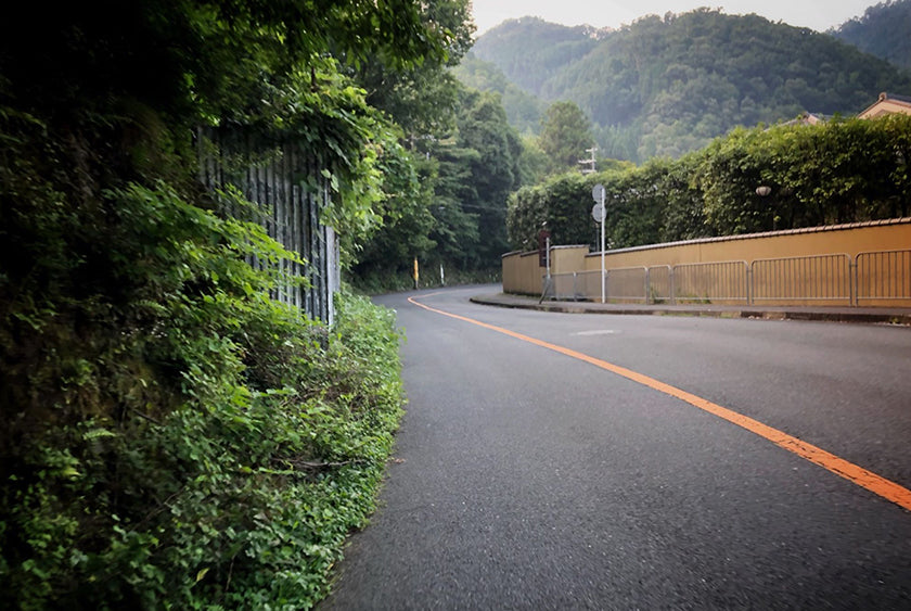 Heading up the 367 cycling route in Kyoto.