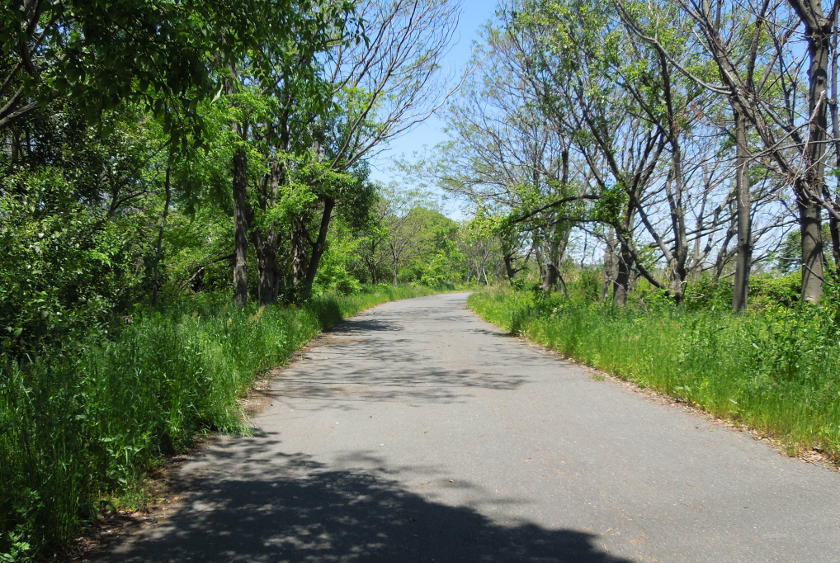 The cycling route from Osaka to Kyoto along the yodo river.