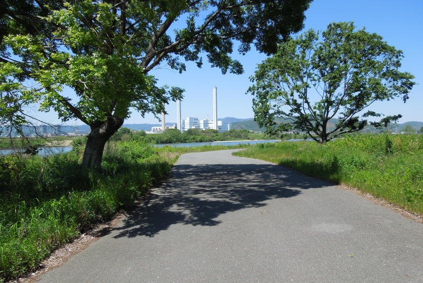The cycling path down the Yodo river on the Osaka to Kyoto cycling route.