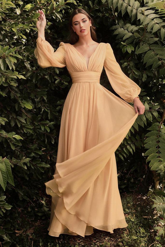 Long Sleeve Chiffon Prom & Ball Dress Modest Gown Gathered Fitted Bodice Sensual Open Back A-line Silhouette CDCD0192 Sale