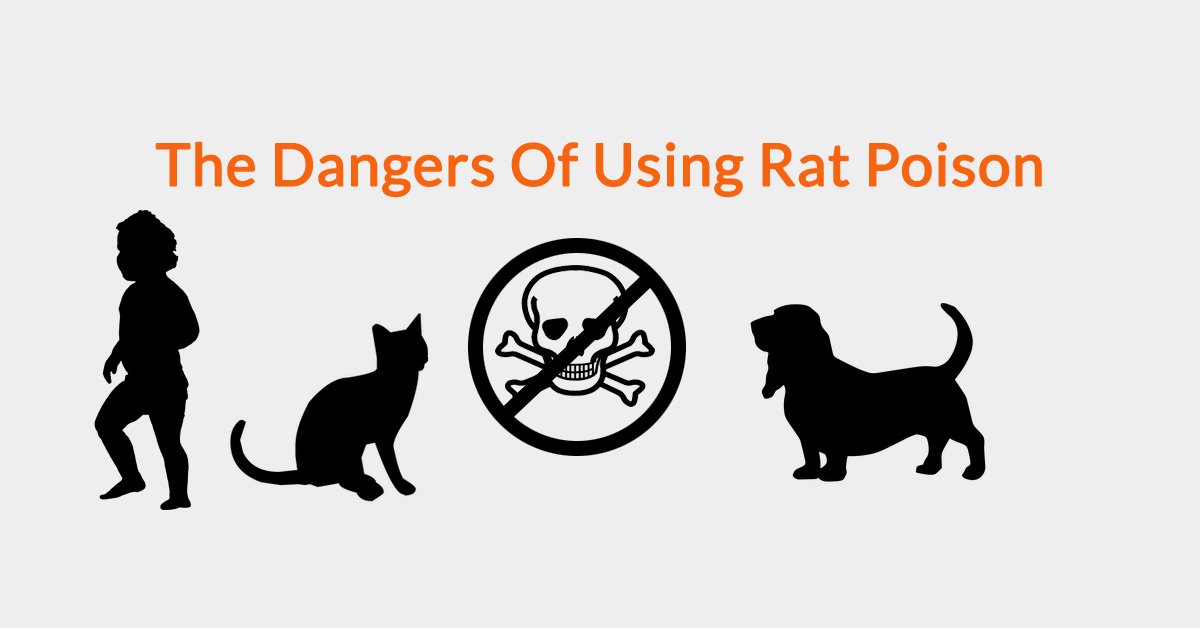 how long for rat poison to affect a dog