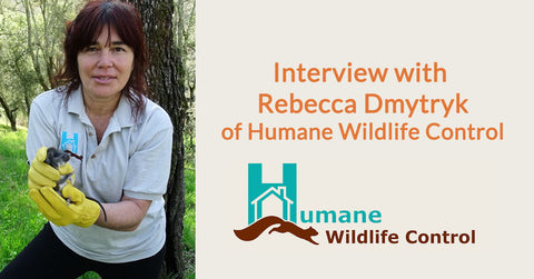 Interview with Rebecca Dmytryk
