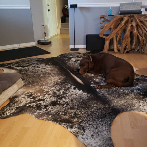 These inexpensive cowhide rugs are hypoallergenic and great for high traffic areas, we ship free all over Wisconsin	Dells within four business days.