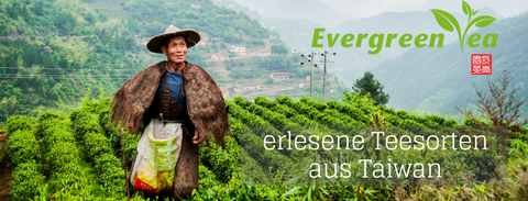 Evergreen Teashop - erlesene Teesorten aus Taiwan
