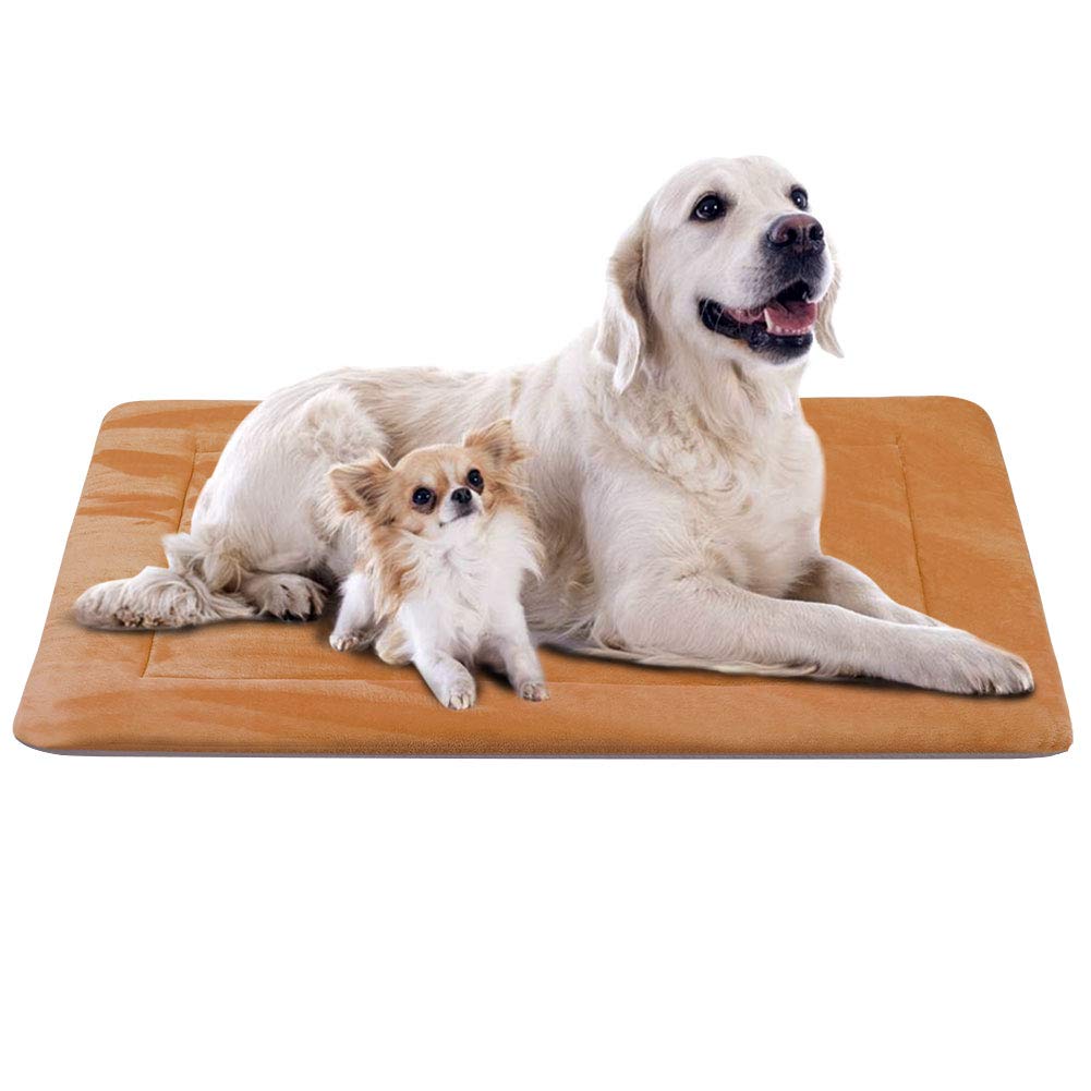 washable dog bed