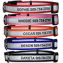 GoTags Personalized Dog Collar Engraved with Name and Phone Number, Dog Collar with Quick Release Snap Buckle