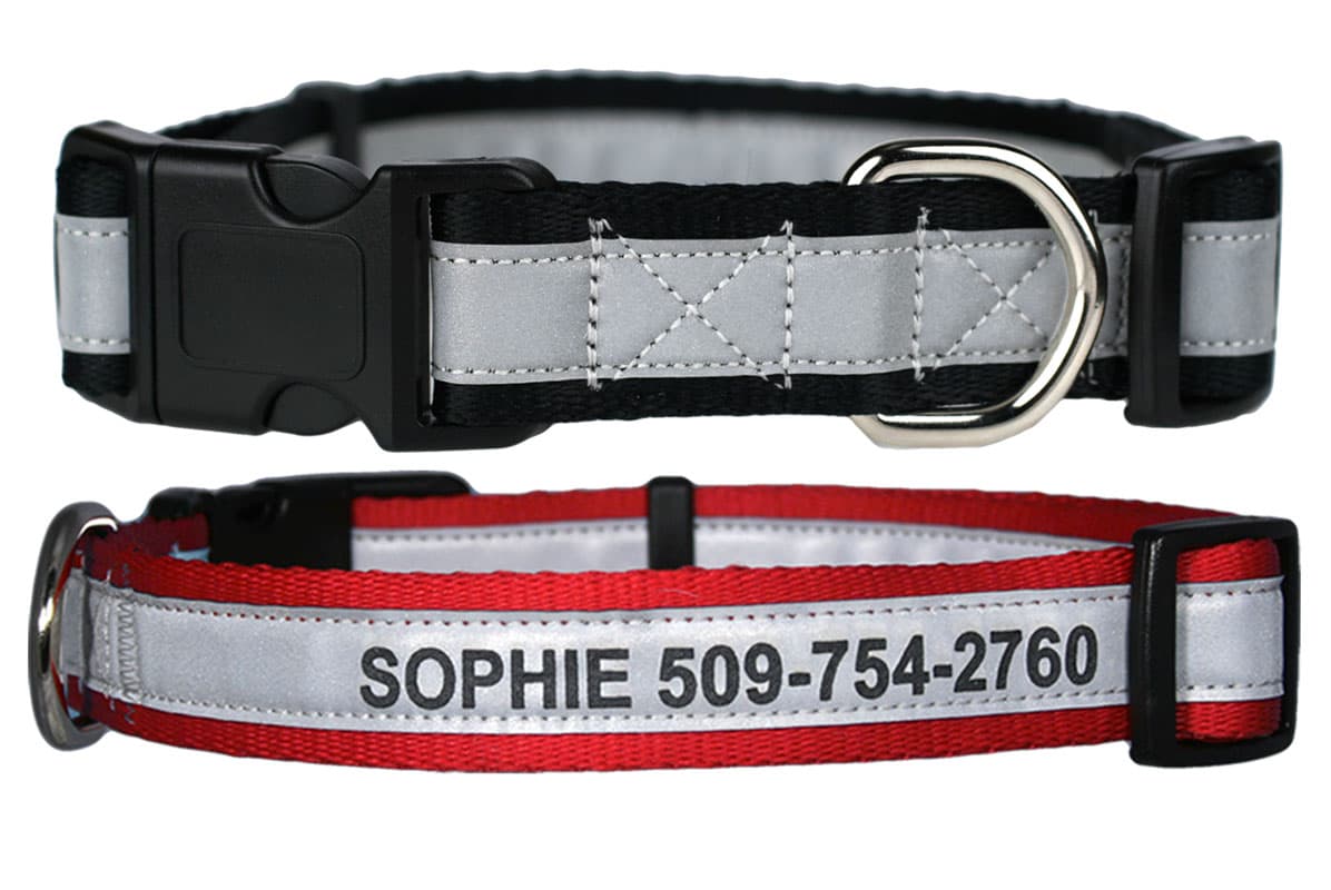 go tags dog collar