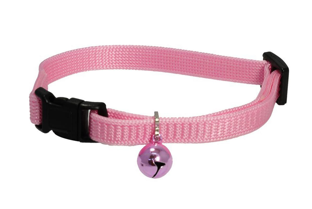 cat collar with bell