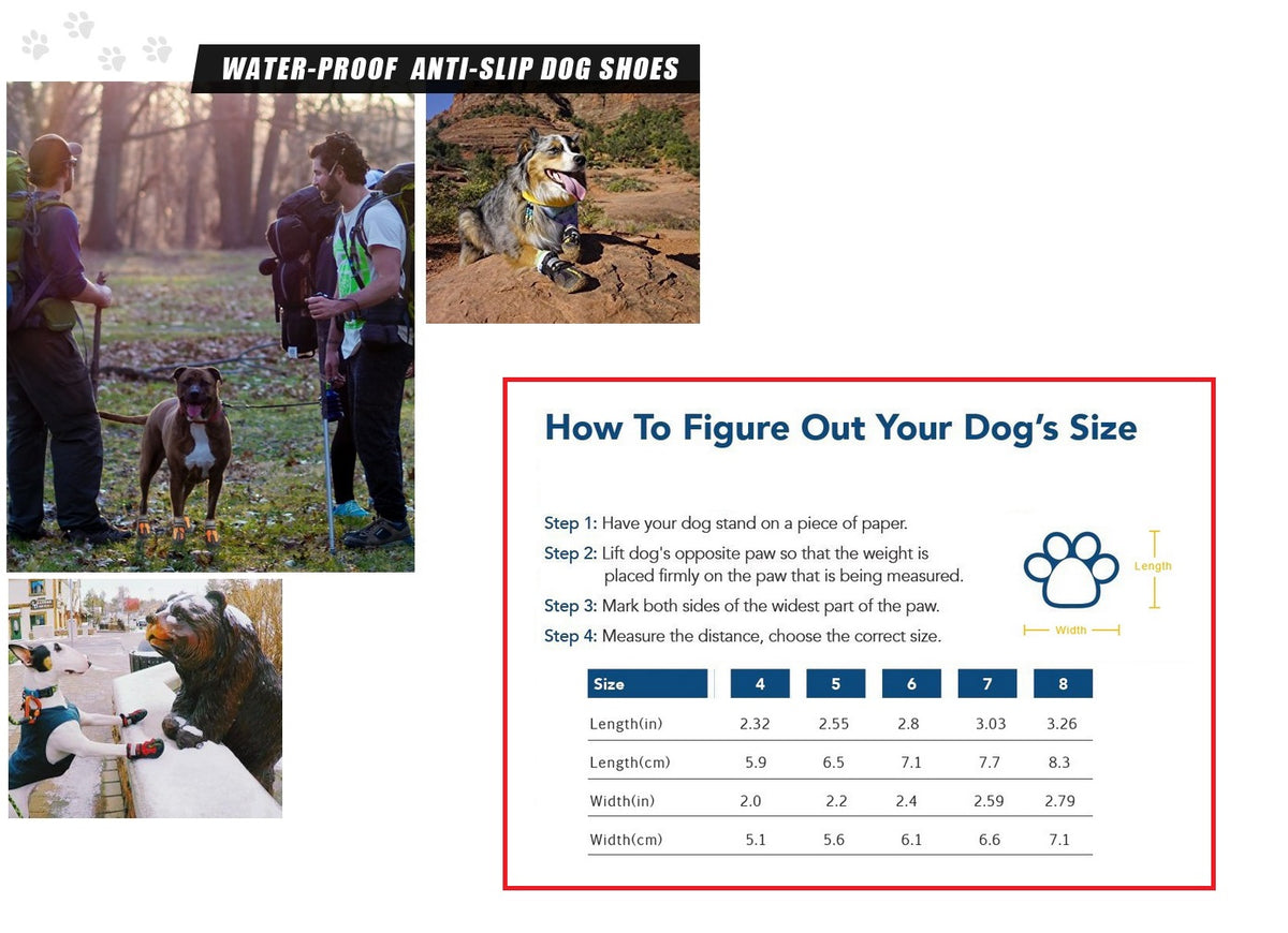 Mr Shoes - Pet Dog Cat Cat Shoes Boots Waterproof Anti-Slip Paw – We Love Deals