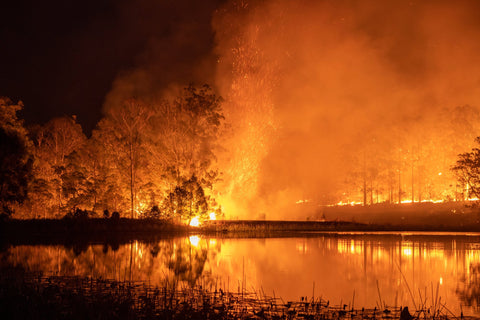 In einem See spiegelt sich ein Buschfeuer welches im Hintergrund einen ganzen Wald zerstört.Die Bäume brennen lichterloh.