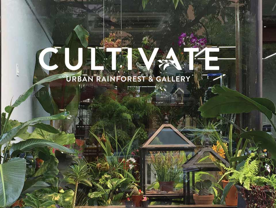 Cultivate urban rainforest