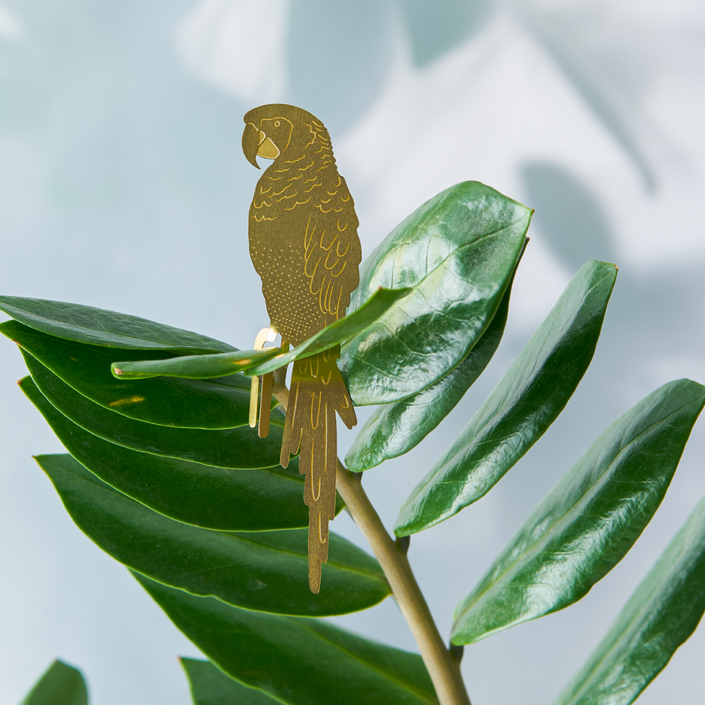 Parrot Plant Animal | Planty Gift Ideas – Another Studio