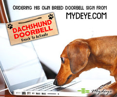 Mydeye Breed Signs