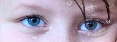 Shelby's Eyes