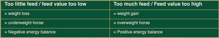 Horse Body Condition Scoring