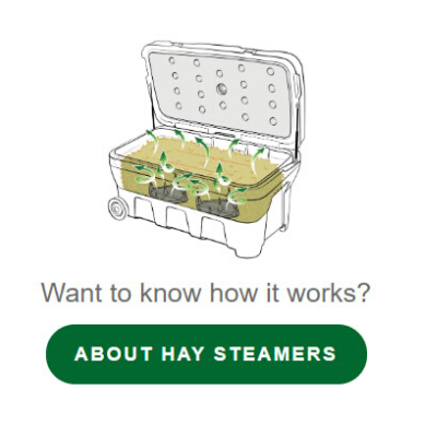 how Haygain steamer works
