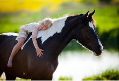 young child on horse