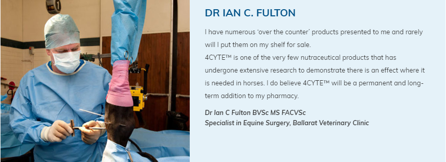 Arthritis in Horses by Dr Ian Fulton