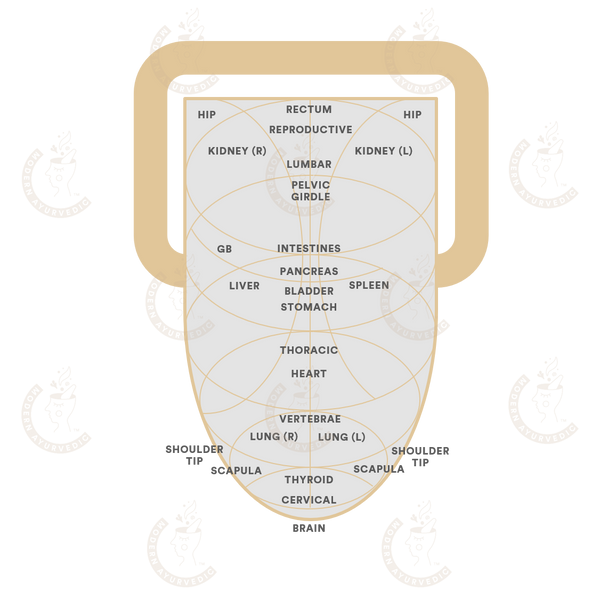 Modern Ayurvedic Tongue Map