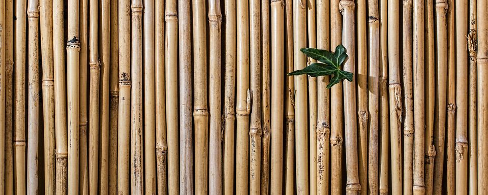 bamboo barrier