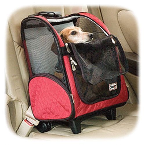 snoozer cat carrier