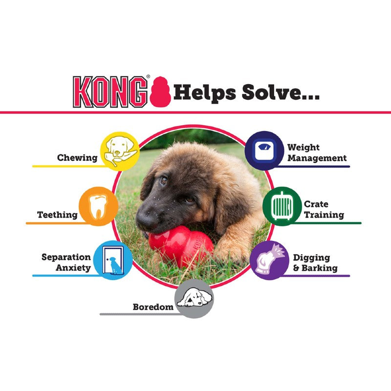 kong dog chew toy
