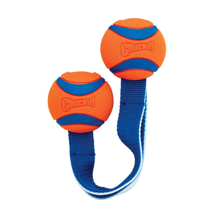 nerf squeaker ball for dogs