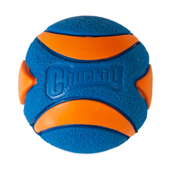 chuckit squeaker ball