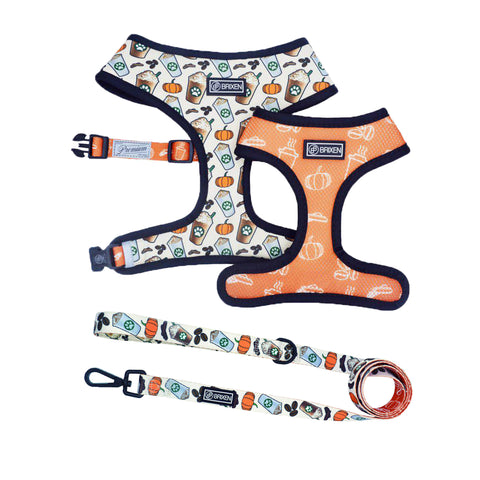 Pumpkin Spice Reversible Harness and Leash
