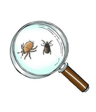 Fleas and ticks under a magnifying glass.