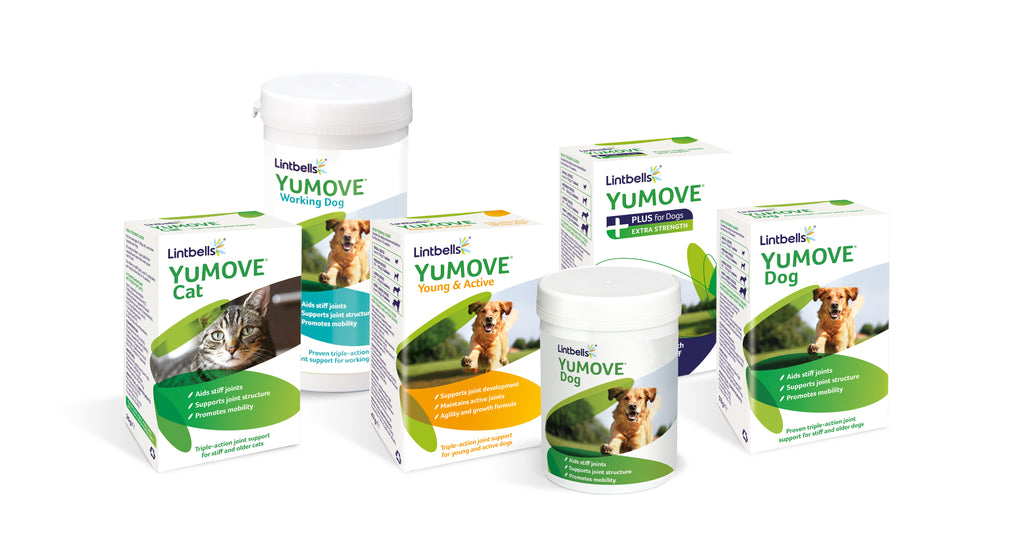 YuMOVE product range 