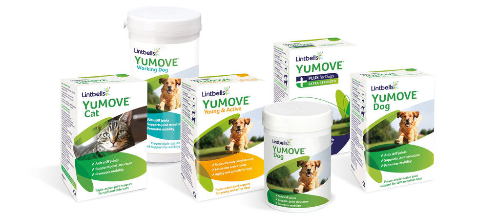 YuMOVE product range
