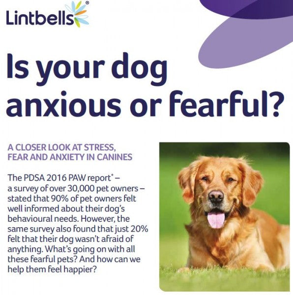 Is your dog anxious or fearful