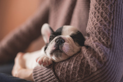 Women hugging puppy