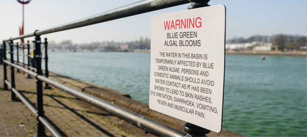 sign warning public about dangers of blue green algae