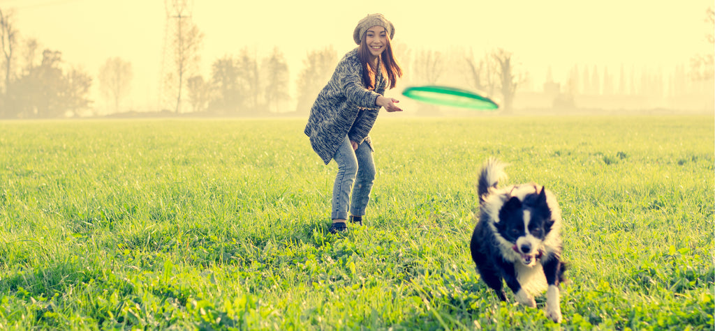 Women throwing frisbee for dog