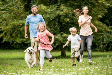 Happy children and parents play with dog on in park