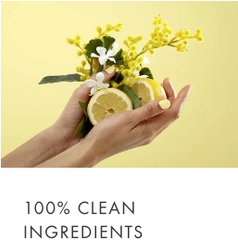 100% clean ingredients