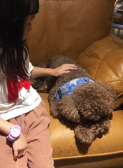 日本寵物梳化 - 保障主子及孩子的健康-re