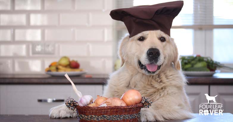 can dogs eat mushrooms and onions