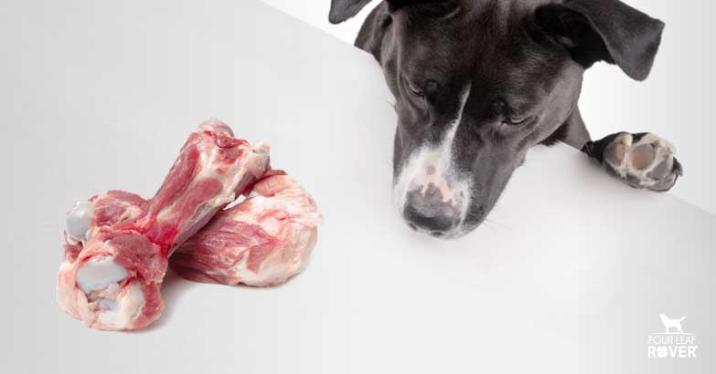how bad is it to feed bones to your dogs