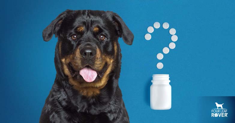 do antibiotics in dogs cause diarrhea