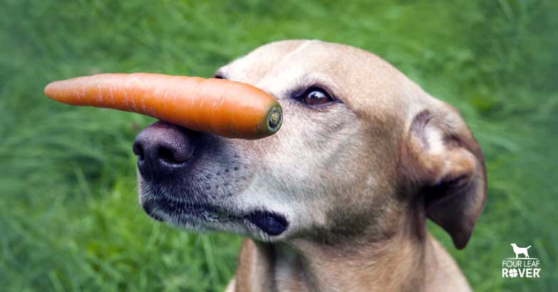 can carrots give dogs diarrhea