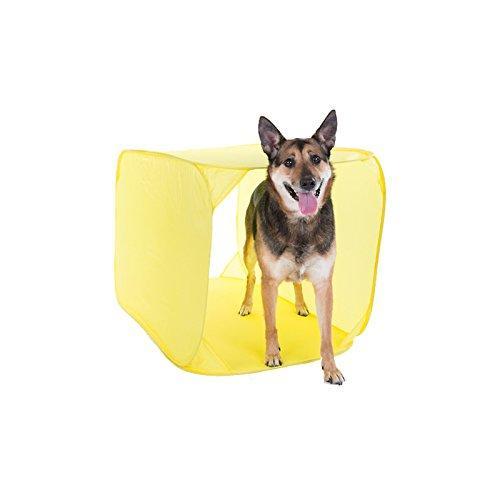 Zip Zoom Indoor Dog Agility Starter Kit With Dog Tunnel Weave Pole Hi You Buy I Ship