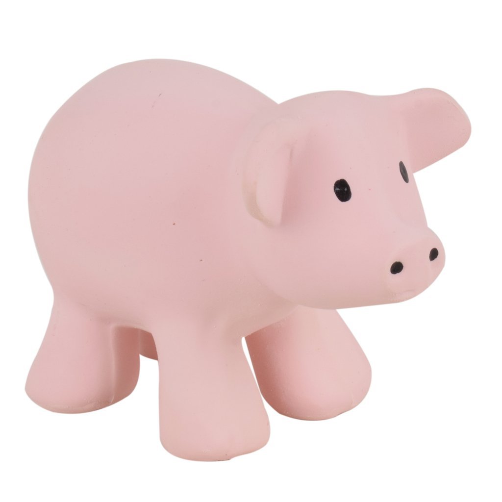 rubber pig toy