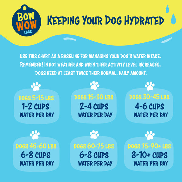 Chart_how_much_water_per_day_for_dogs_by_weight