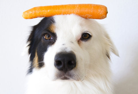 Dog-food-carrot