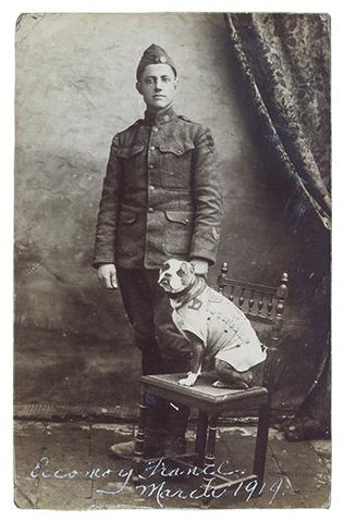 sergeant stubby decorated war dog